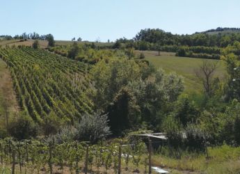 illica