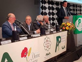 Anp assemblea nazionale