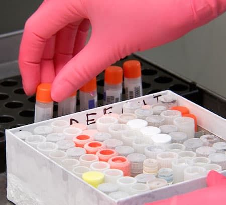 vaccinazione