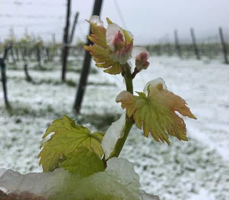 neve e gelo